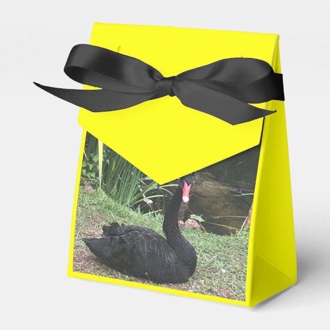 Zoo-Liebe Geschenkschachtel (Vorderseite)