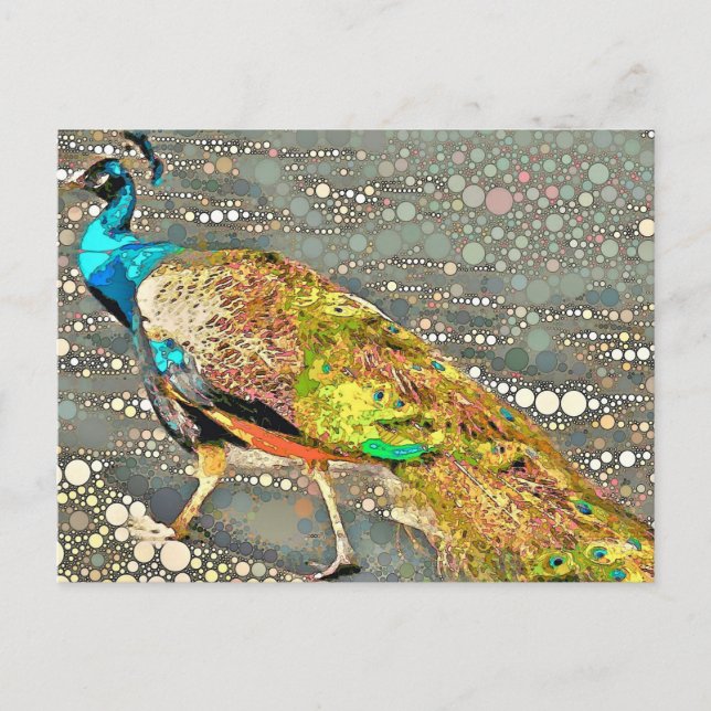 Zoo Peacock Postcard Postkarte (Vorderseite)