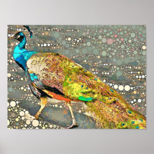 Zoo-Pfau-Plakat Poster