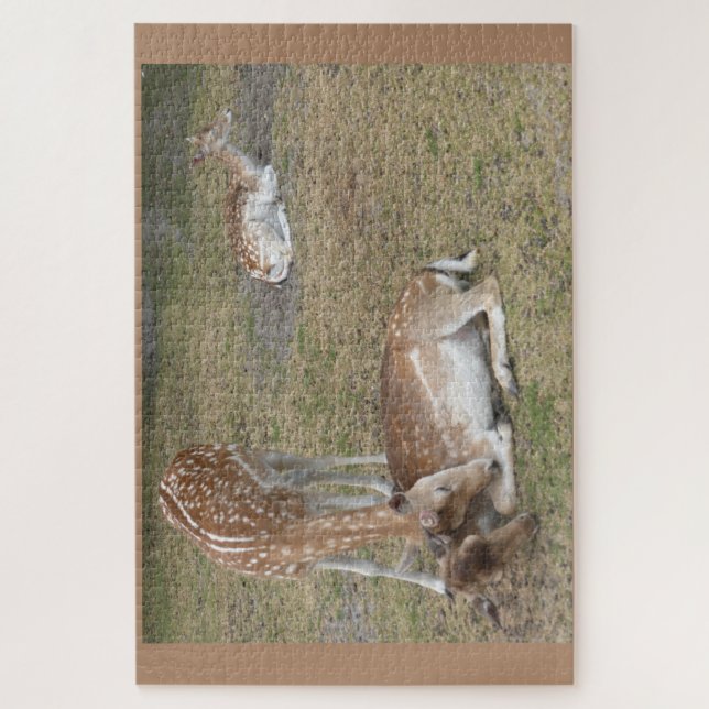 Zoo-Puzzle: Niedliches Hirsch Puzzle (Vertikal)