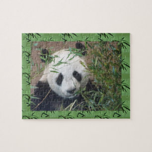 Zoo-Puzzle:Niedliches Panda Puzzle