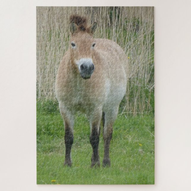 Zoo Puzzle: Niedliches Przewalski Pferd Puzzle (Vertikal)