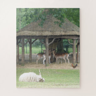Zoo Puzzle: Tiere in Deerpark Puzzle