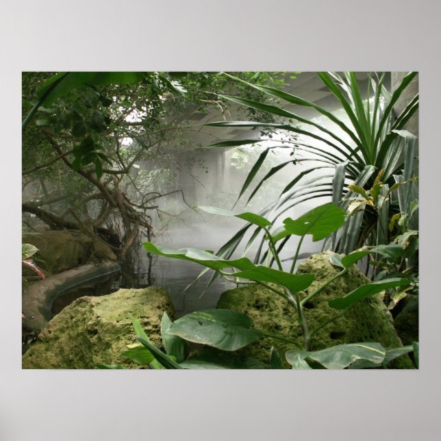 Zoo Rainforest Exhibit Poster (Vorne)