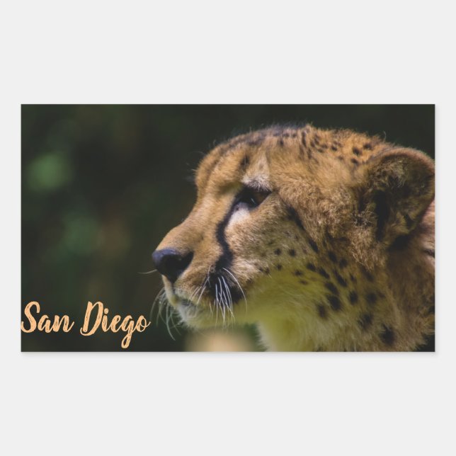 Zoo San Diego Rechteckiger Aufkleber (Vorderseite)