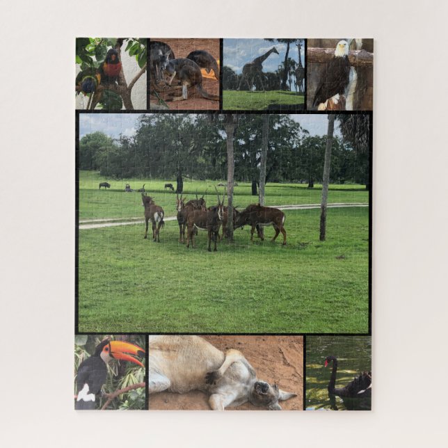 Zoo-Tage - Tier-Puzzle-Collage Puzzle (Vertikal)