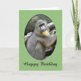 Zoo-Tier Pavian Happy Birthday-Karte Karte