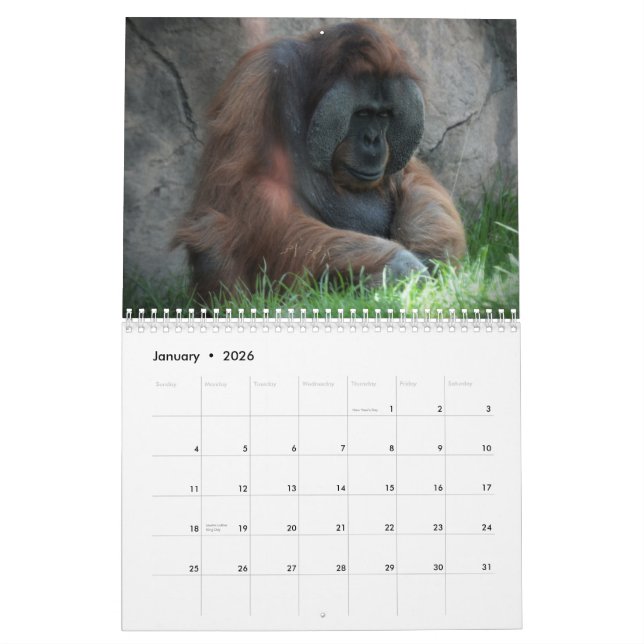 Zoo-Tier-Spaß Kalender (Jan 2026)