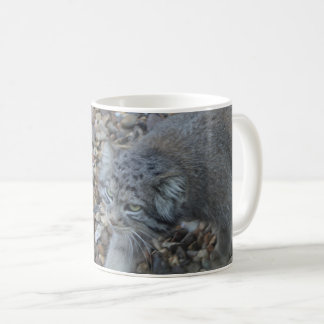 Zoofotografie - Pallas Cat (Handbuch) Kaffeetasse