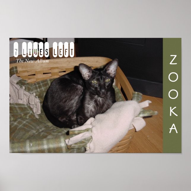 Zooka 2007 poster (Vorne)