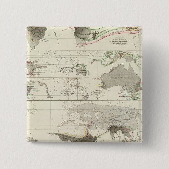 Zoologische Geografie Button (Vorderseite)