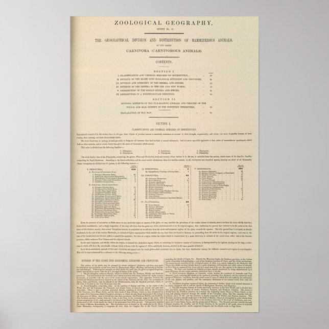 Zoologische Geografie Carnivora Poster (Vorne)