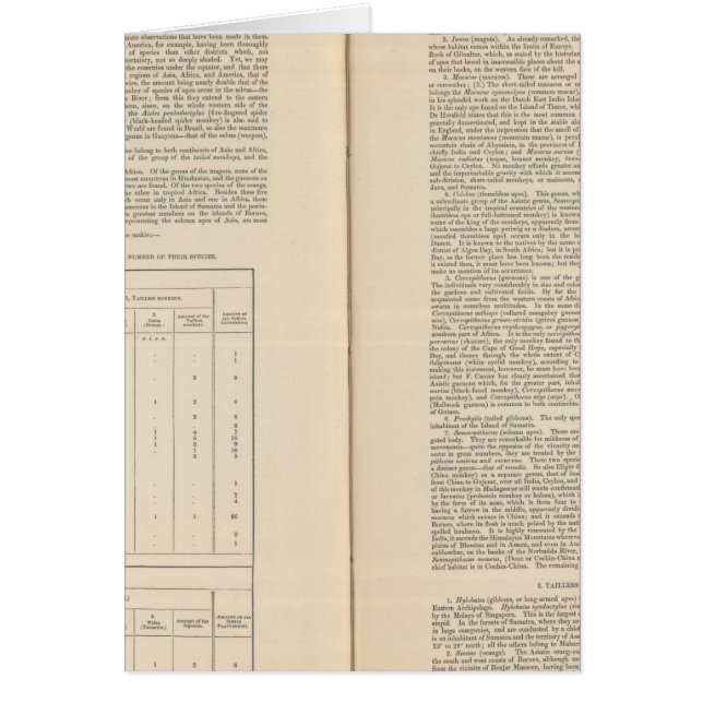 Zoologische Geografie fortgesetzt (Vorne)