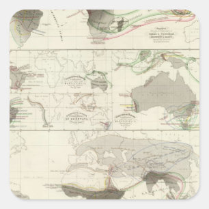 Zoologische Geografie Quadratischer Aufkleber