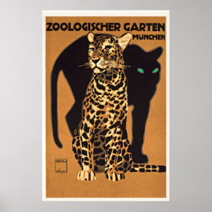 Zoologischer Garten München Schwarzer Panther anf Poster