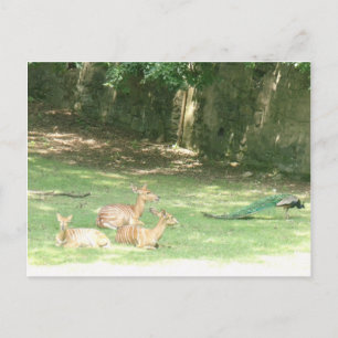 Zoombild Bronx Postkarte