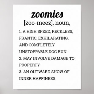 ZOOMIENDEFINITION POSTER