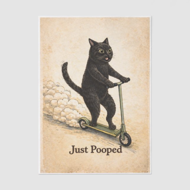 Zoomies Kitty  Seidenpapier (Vorderseite)