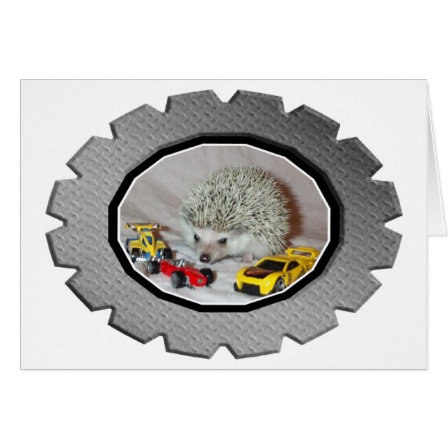 Zoomin-Igel (Vorderseite (Horizontal))