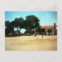 Zorba, die griechische Pause, Foto Colette Guggenh