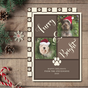 Zorn und hellbraun Fotomaterial Collage Hund Feiertagskarte