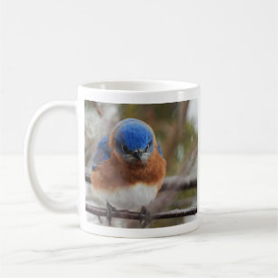 Zorniger Östlicher Blauvogel Kaffeetasse