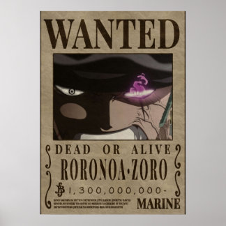 Zoro Third Gewollt Poster