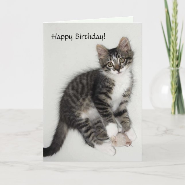 Zorro Happy Birthday Card Karte (Vorderseite)