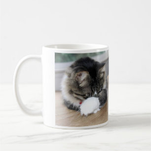 Zorro Shy Kitty Tasse