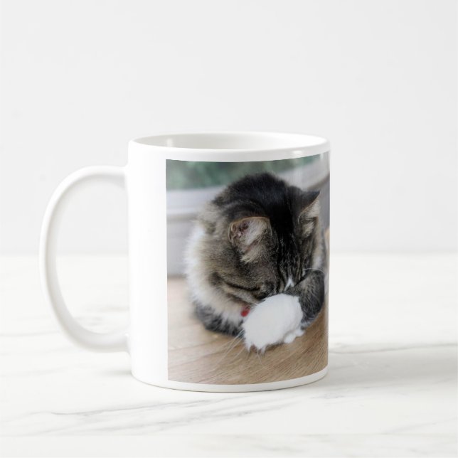 Zorro Shy Kitty Tasse (Links)