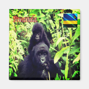 zRW003 RWANDA, Gorilla im Nationalpark, Kühlschran Magnet