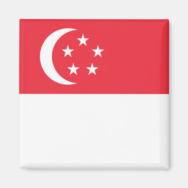 zSG001 Singapur FLAG Singapur, Kühlschrank Magnet (Vorne)