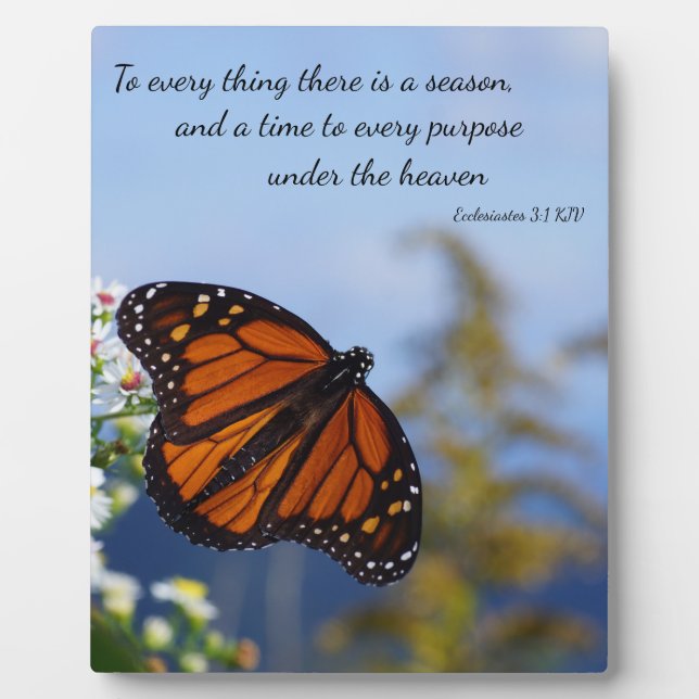 Zu allem, was es gibt, ist die Jahreszeit Fotoplatte (Vorderseite)