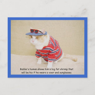 Zu Cool Bubba Kitty Postkarte