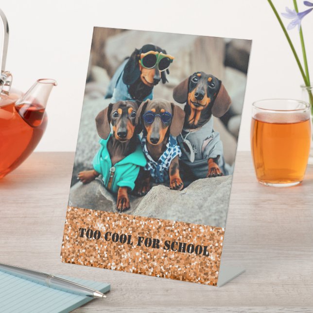 Zu Cool für Dackel in der Schule Sockelschild (In Situ)