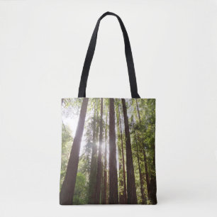 Zu den Redwoods am Morgen