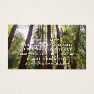 Zu den Redwoods am Morgen