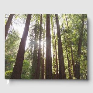Zu den Redwoods am Morgen Gästebuch