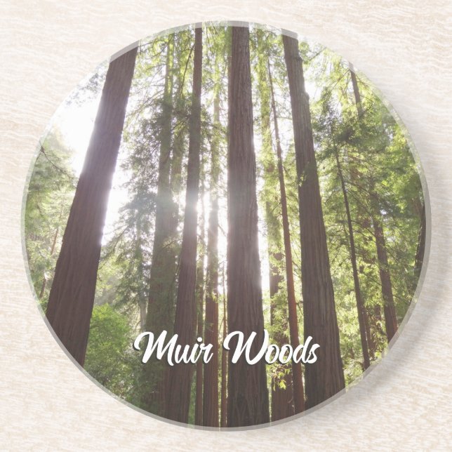 Zu den Redwoods am Morgen Getränkeuntersetzer (Vorne)