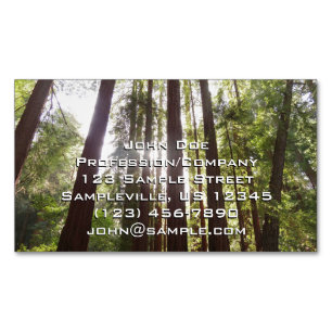 Zu den Redwoods am Morgen Magnetische Visitenkarte