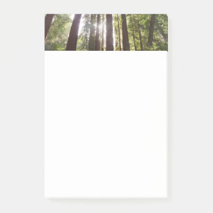 Zu den Redwoods am Morgen Post-it Klebezettel