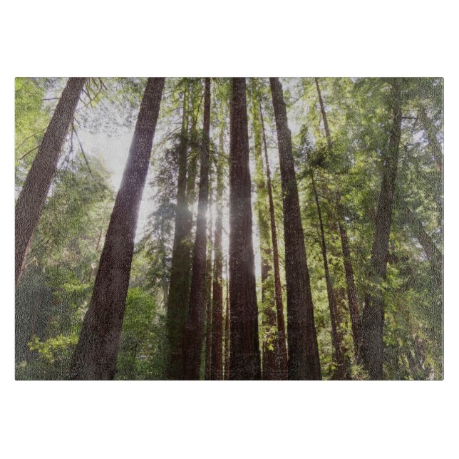 Zu den Redwoods am Morgen Schneidebrett (Vorderseite)