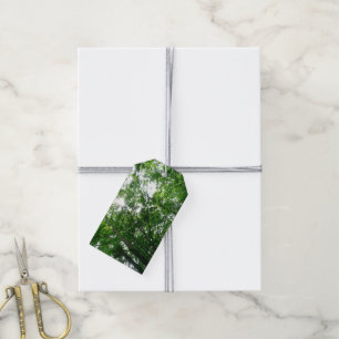 Zu den Sommerbäumen aufblicken Geschenkanhänger