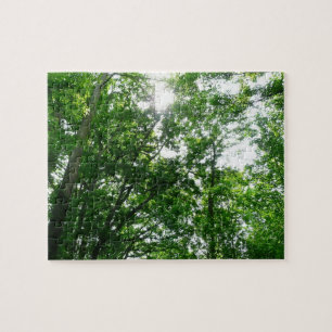 Zu den Sommerbäumen aufblicken Puzzle