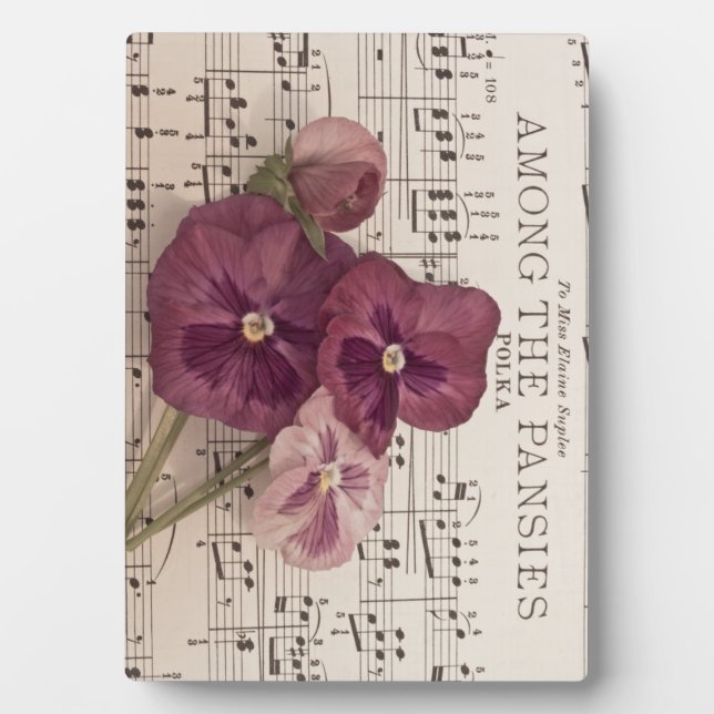 Zu den Stiefmütterchen Fotoplatte (Vorderseite)