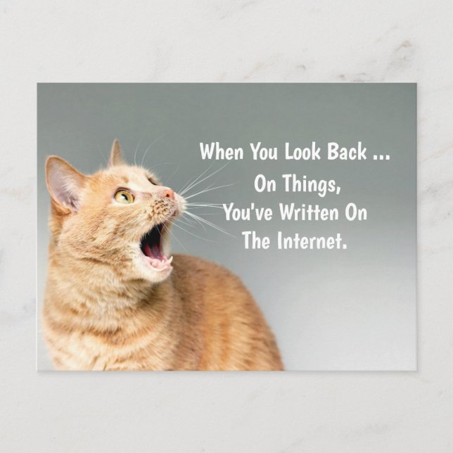 Zu Dingen, die du im Internet geschrieben hast, wi Postkarte (Vorderseite)