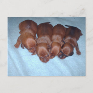 Zu Ehren von Sally_010 Postcard Postkarte