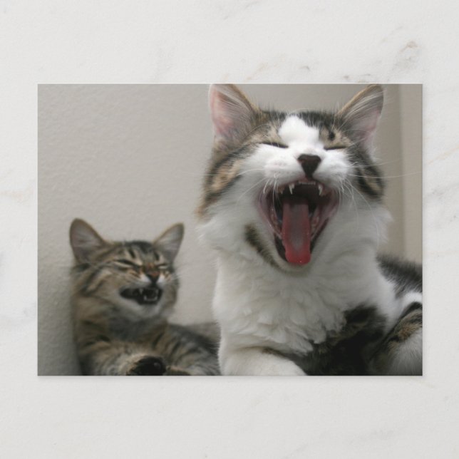 Zu Funny Postcard Postkarte (Vorderseite)