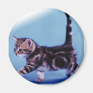 zu Fuß%20kitten%20RC%20Deutschland Magnet