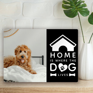 Zu Hause ist dort, wo der Hund lebt Foto Fotoplatte